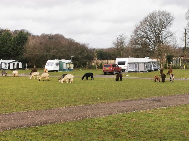 Blackstone Meadow Holiday Park
