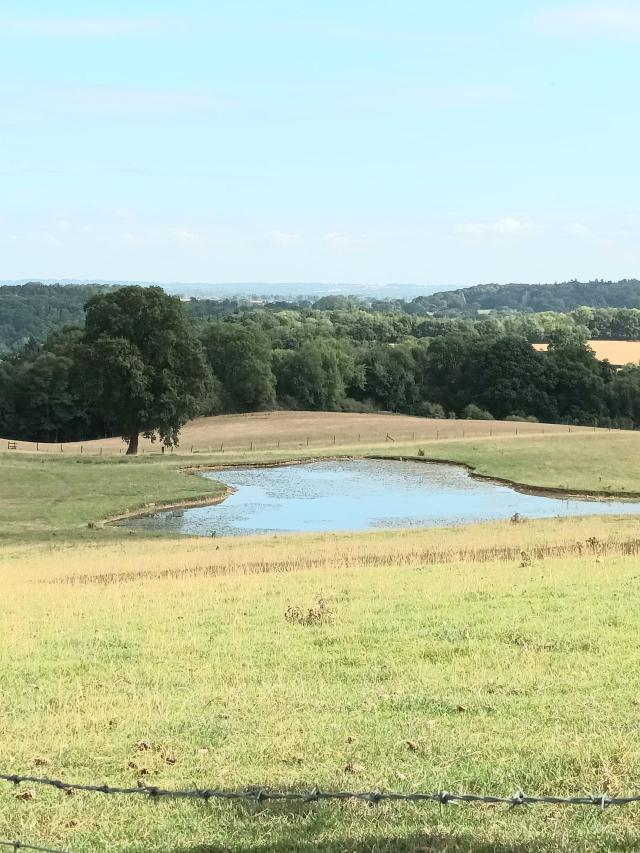 Hay and Hedgerow Glamping