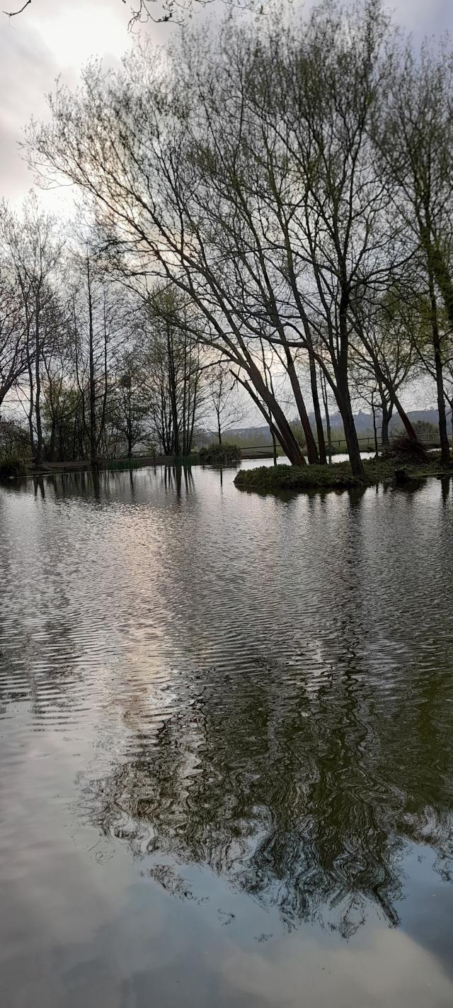 Wassell Grove Camping and Caravanning